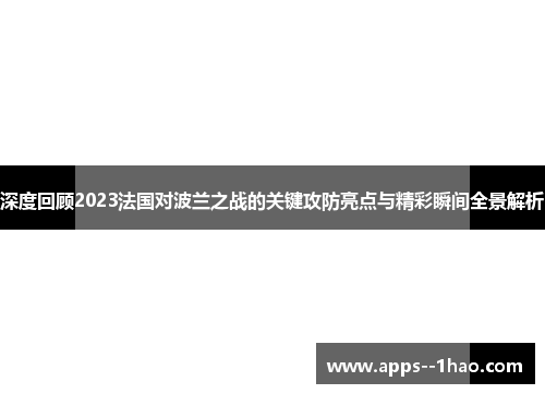 深度回顾2023法国对波兰之战的关键攻防亮点与精彩瞬间全景解析