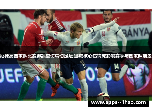 厄德高国家队比赛脚踝重伤震动足坛 挪威核心伤情或影响赛季与国家队前景